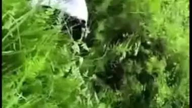 Desi mms sex, Horny Tamil couple was caught fucking outdoor in bushes