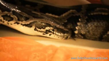 Kathak The Sensual Snake