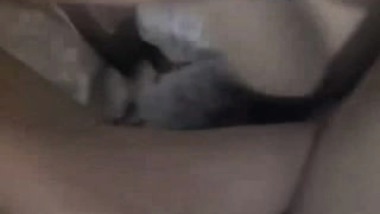 Pakistani Wife Getting Fucked Hard