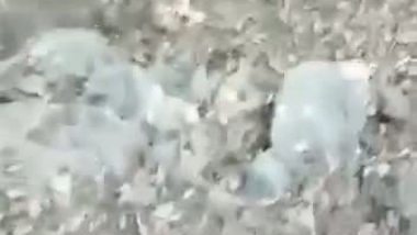 Rajasthani old couple fucks outdoors in desi sex MMS