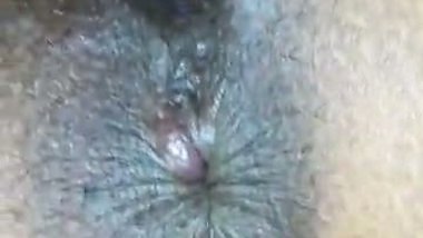 Indian birch sucking dick