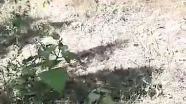 Outdoor Nepali porn of a girl sucking a dick and fucking