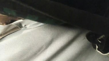 Indian Girl Groped in train