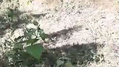 Kathmandu babe’s outdoors jungle fun in Nepali sex video