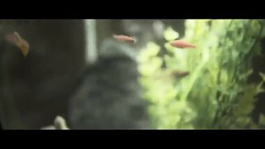 Hot Romance with a beautiful Indian wife