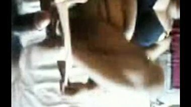 BustyTamil