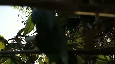 Desi randi group sex with local guys viral outdoor