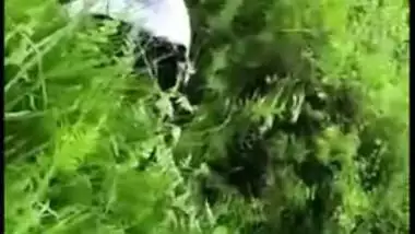 Desi mms sex, Horny Tamil couple was caught fucking outdoor in bushes