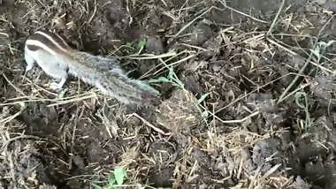 My new friend in indian hindi outdoor