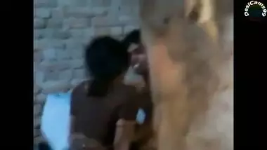 Desi xxx video of my slut bhabhi and my friend