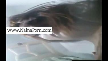 Desi chick stripping naked