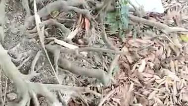 Mature Couple Caught fucking outdoor