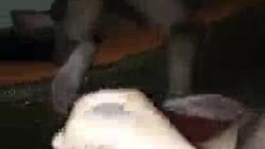 Indian aunty group sex with hubby friend