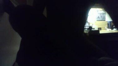 Hong Kong Matt Eats Indian Caramel Pussy