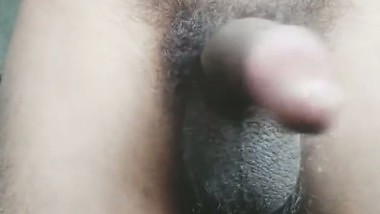 BlackCock