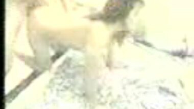 Bollywood celebrity Madhuri Dixit 