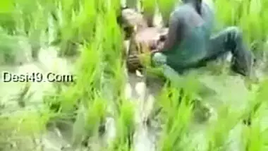 Worker sees Indian lovers who are going to have sex on the field