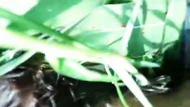 Outdoor Field sex with local desi randi