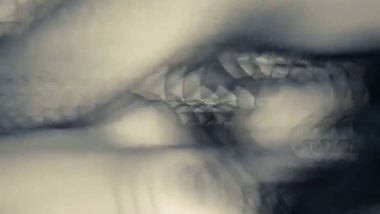 Desi Threesome fucking video