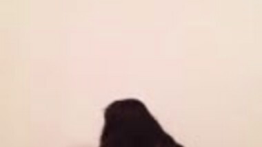 dance tease