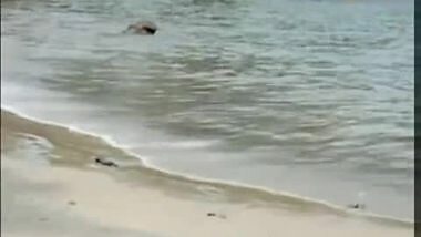 Outdoor ass show in beach by desi