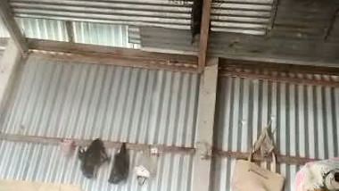 Village girl masturbates with a brinjal in the desi MMS