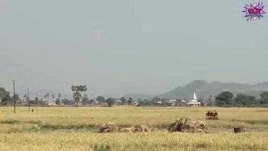 firangi thakurain hot indian sex
