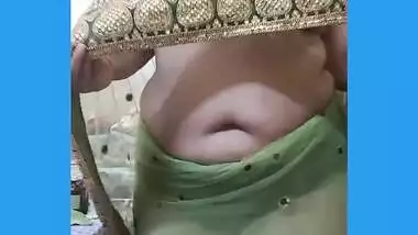 indian bhabi teasing her husband in net saree