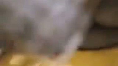 Owner squeezes his maid’s boobs in desi mms