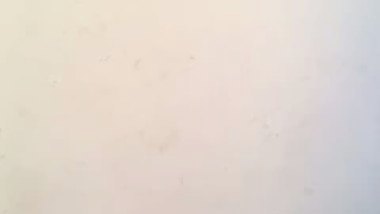 Indian girl boob press while riding lover dick
