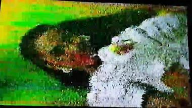 bibi gaytan diosa sexual mexicana