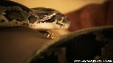 Exotic Lover Dancing Sweet