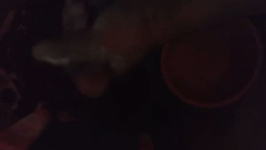 Indian cock