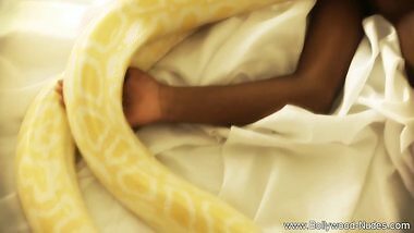 Bollywood Girl Sensual Dancer