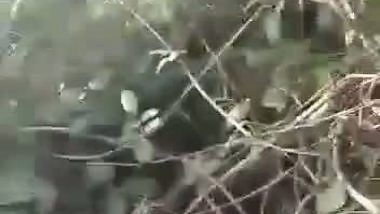 The poor guy bangs a hot desi lady outdoors in the blue film