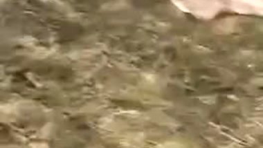 Amateur Kerala couple caught having outdoor sex, Fresh Desi MMS online