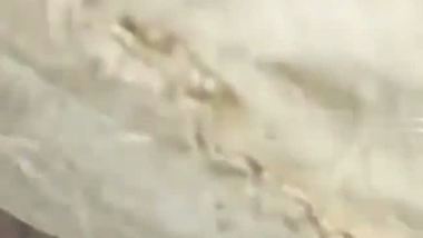 Desi sex of a South lady taking a big dick in her pussy