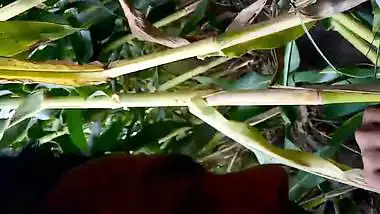 Outdoor desi sex MMS of busty milf fucking her nasty lover