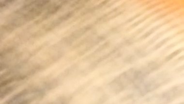 Bengali wife pussy lick and boob sucking viral sex