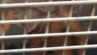 Sangita bhabhi having bath