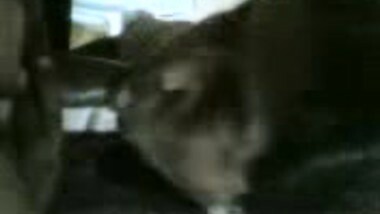 AP Uncle Stolen Video