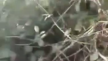 Fucking Wife In The Jungle