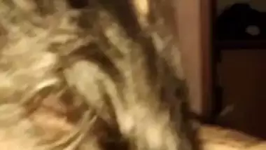 Desi HD MMS of hot girl handling big dick