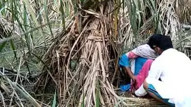 Indian village bhabhi outdoor fucking scandal