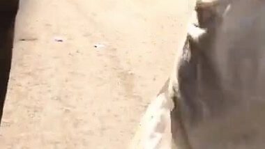 Indian Girl's Arse - 6