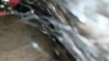 Desi Sexy Bhabi Sucking Dick