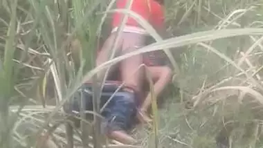 Bihari outdoor sex MMS video captured by a voyeur