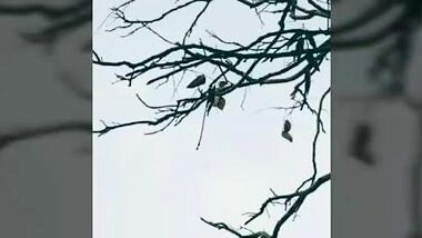 Super Cute Indian Lover Romance And Fucked In Doggystyle