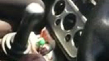 Young desi girl sucking inside car