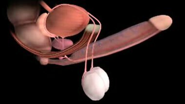 Hand Massage XRay Scanner First Time